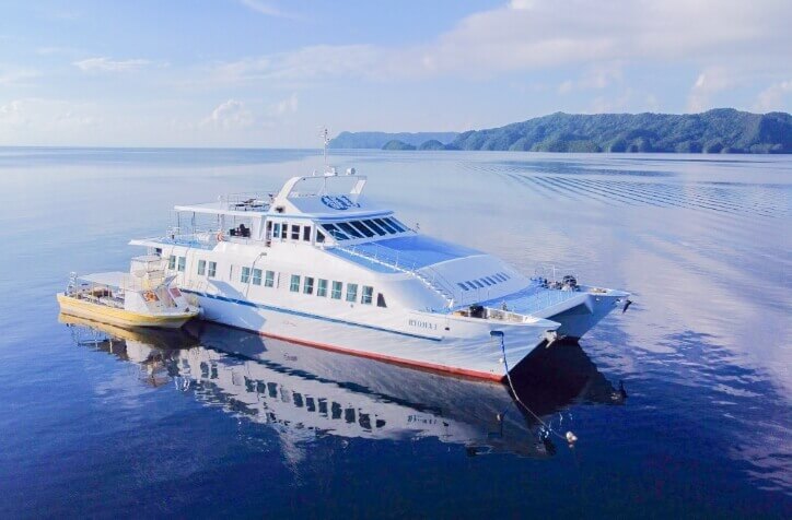 龍馬ダイブクルーズの写真 in パラオ