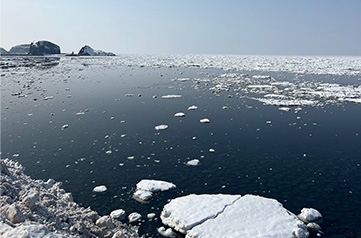 流氷の写真