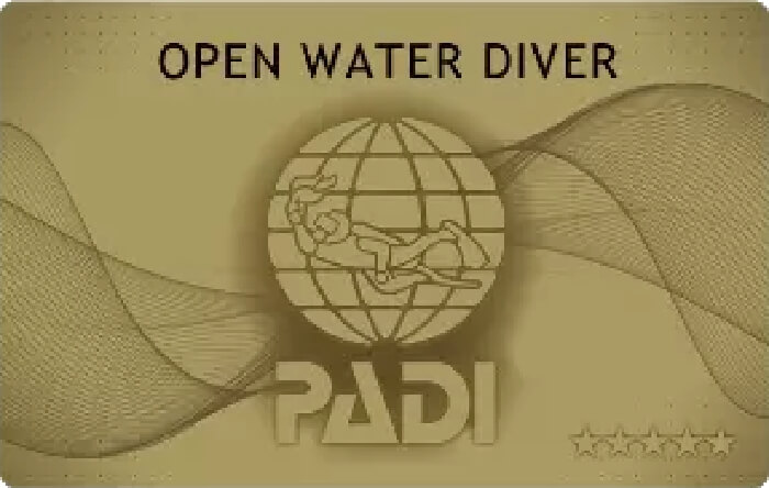 OPEN WATER DIVER