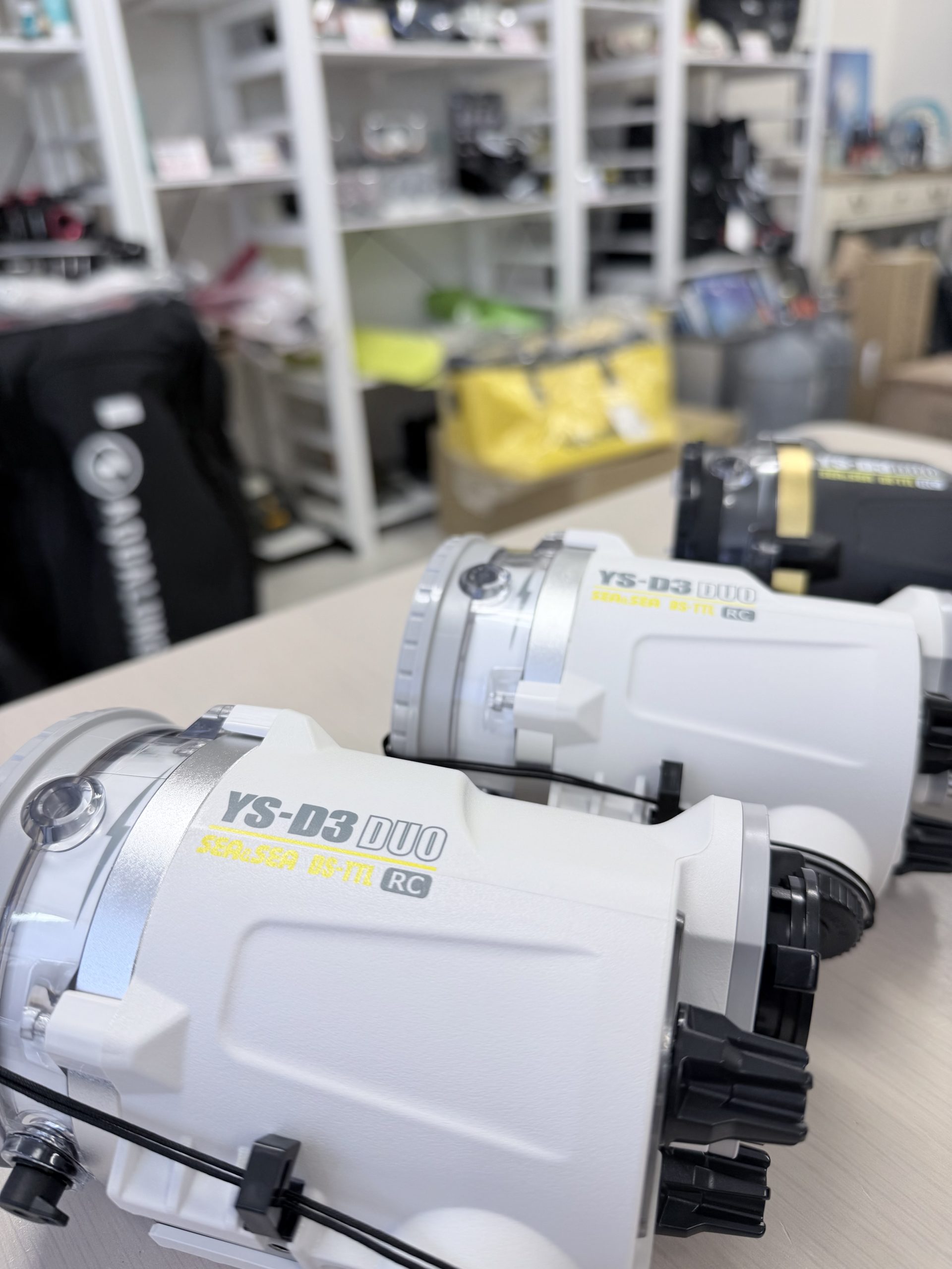 今日の札幌は雪！カメラ熱も高まる冬、いよいよ一眼レフで水中撮影へ！