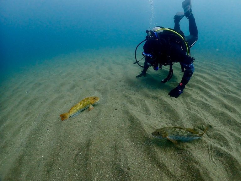 40代 のぶ　さん様