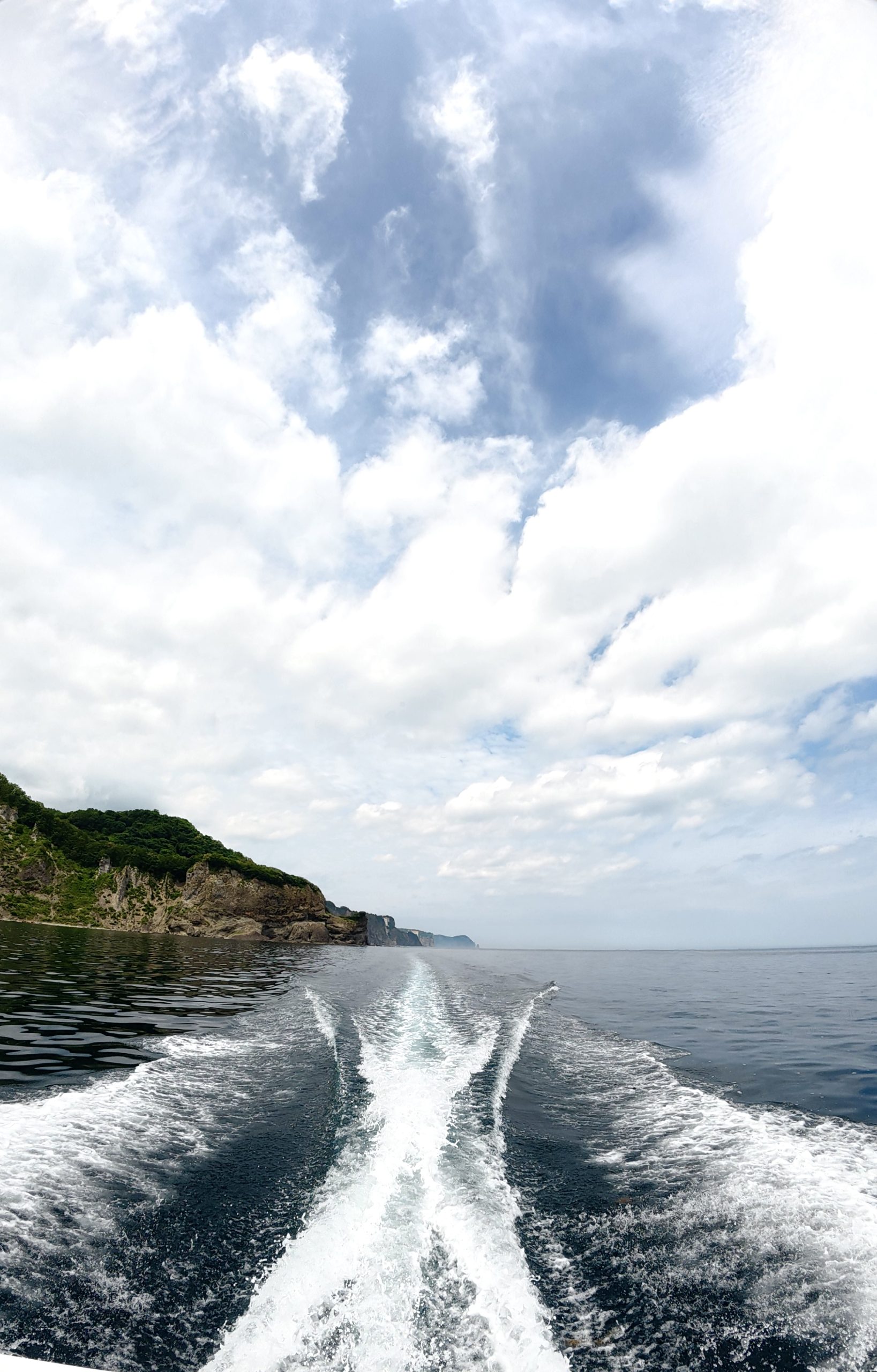 積丹ブルーの夏が始まる！アミメハギも登場、今こそ札幌ダイビングサービスで北海道の海へ！
