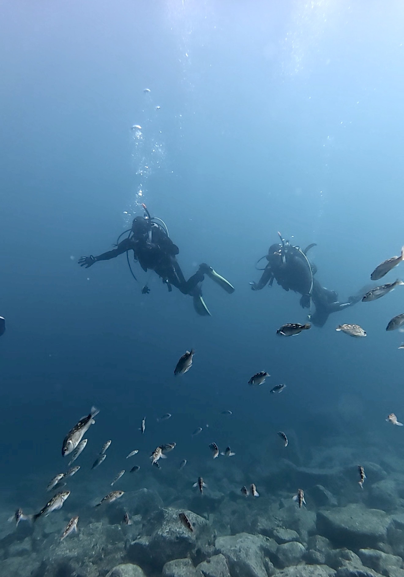 初めての海での講習！オープンウォーターダイバーコース