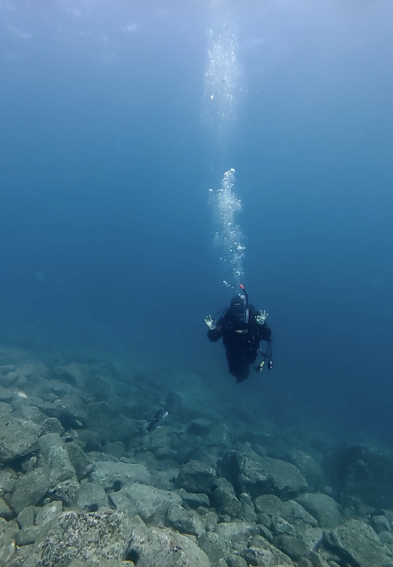 初めての海でのダイビング！オープンウォーターダイバーコース